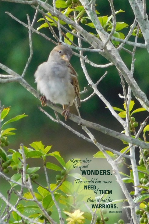 365 - 07 - 31 - 2016