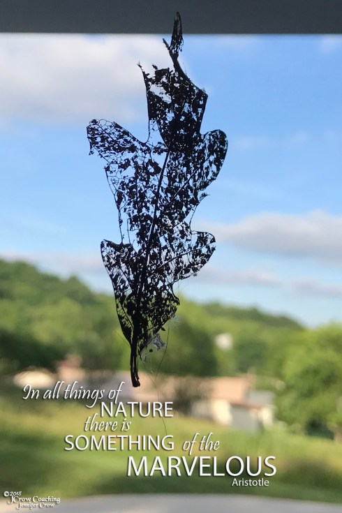 365 Grateful 06-15-2018