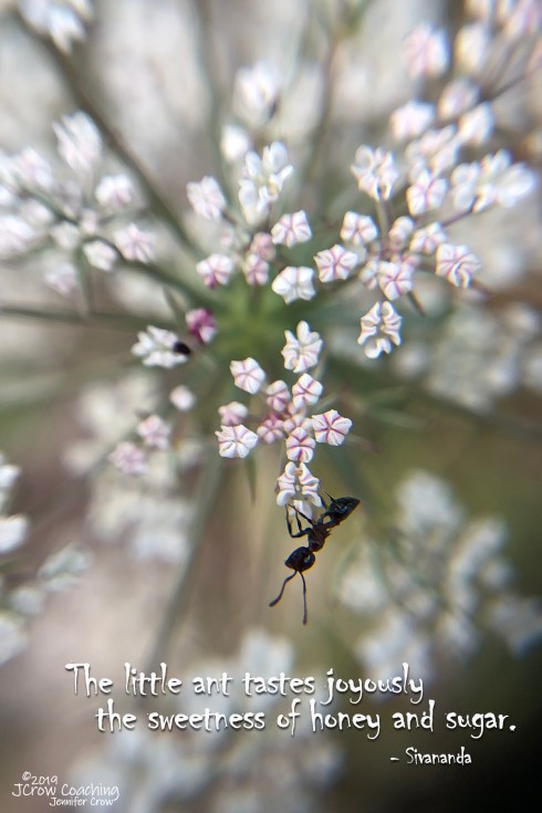 365 Grateful 07-30-2019