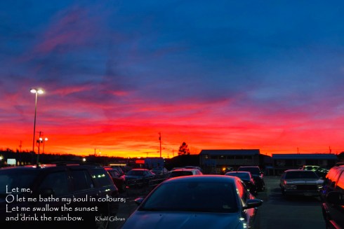 365 Grateful 11-19-2019